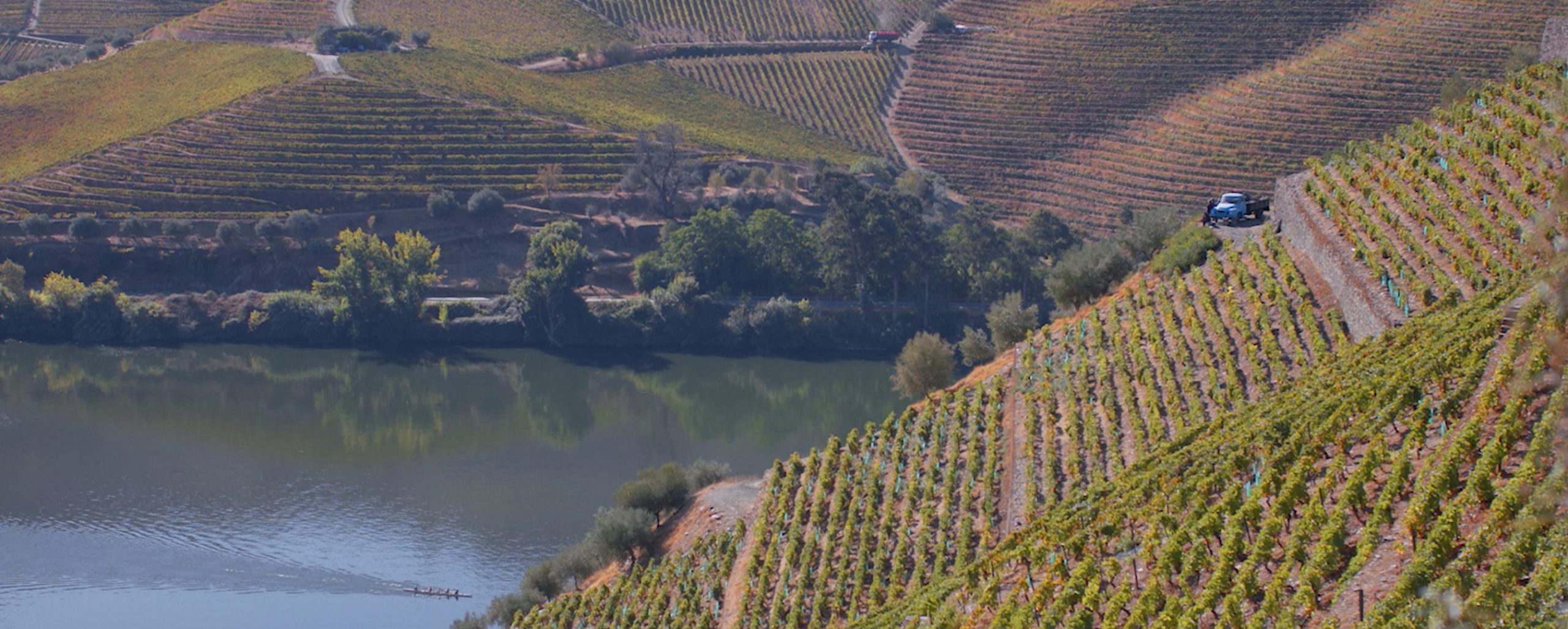 Natureza | Discover Douro