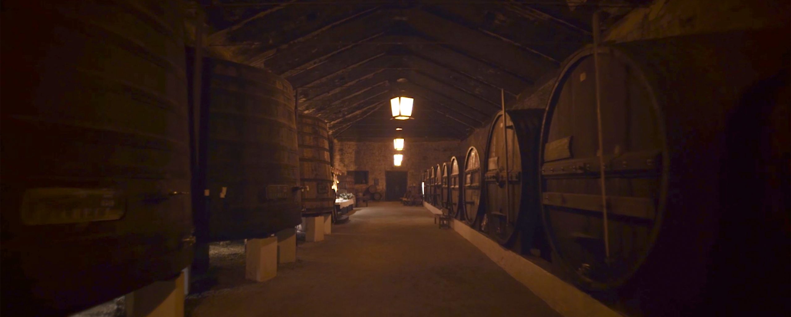 Discover Douro